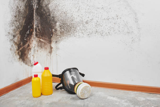Crawl Space Mold Removal in Lake Lakengren, OH