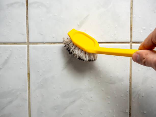 Best Mold Damage Repair  in Lake Lakengren, OH