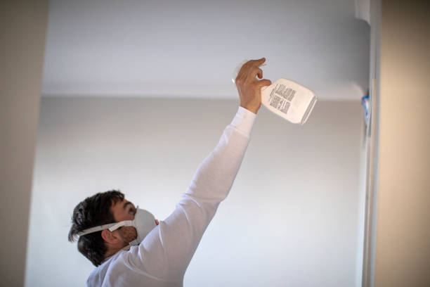 Best Mold Remediation  in Lake Lakengren, OH
