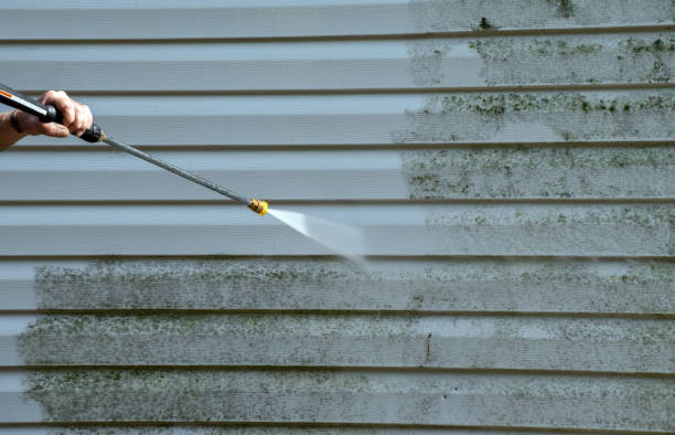 Mold Removal Process in Lake Lakengren, OH
