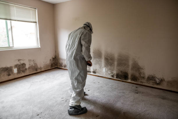Best Mold Removal and Inspection  in Lake Lakengren, OH